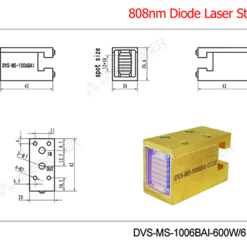 DVS 600W/6Bar